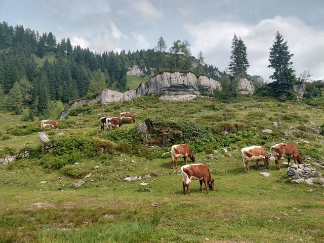 Bergerbauer